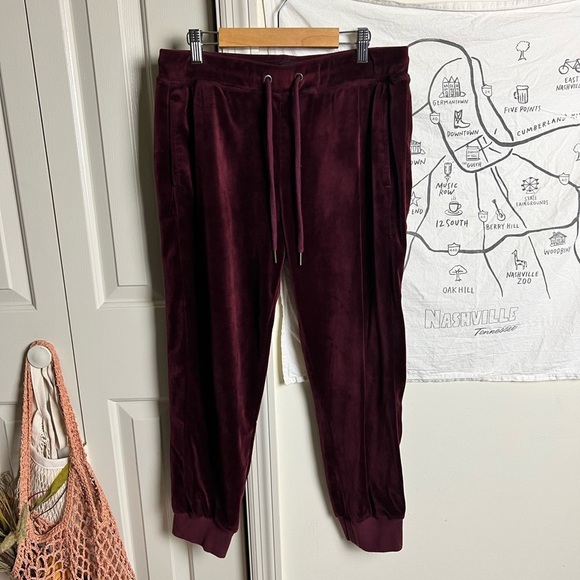 Sanctuary | Velour Jogger Pants | Red large - Picture 5 of 11